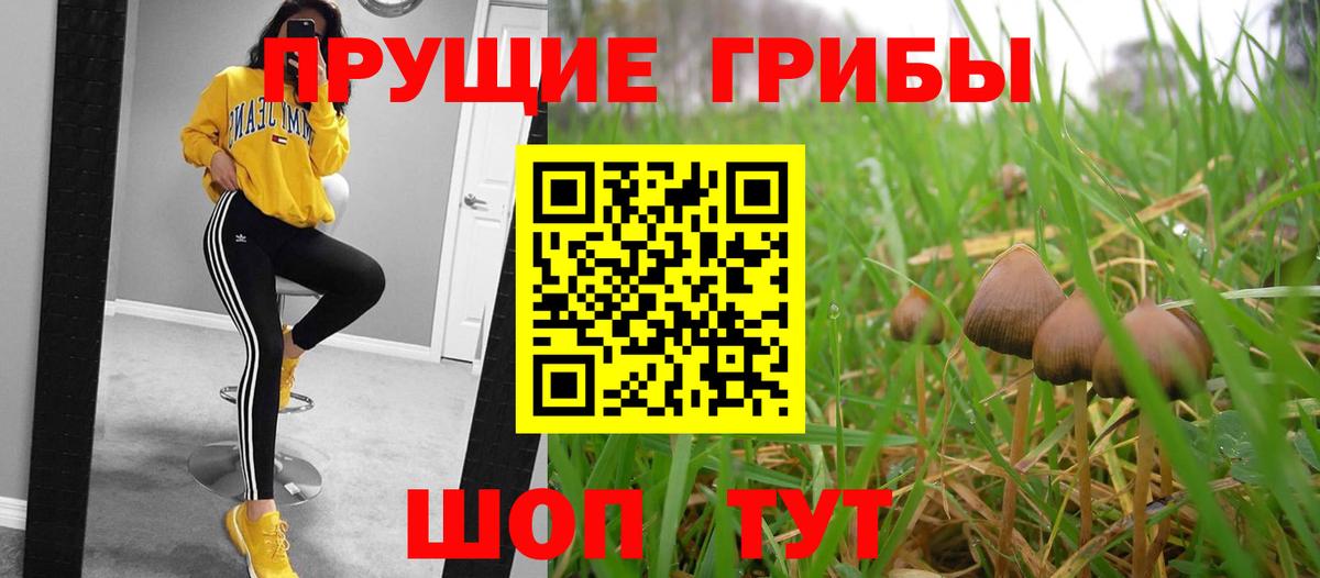 Галлюциногенные грибы MAGIC MUSHROOMS  Вход с VPN  Заречный 